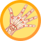 Hand/Wrist - Juan A. Serrato, Jr. MD - Orthopedic Surgeon